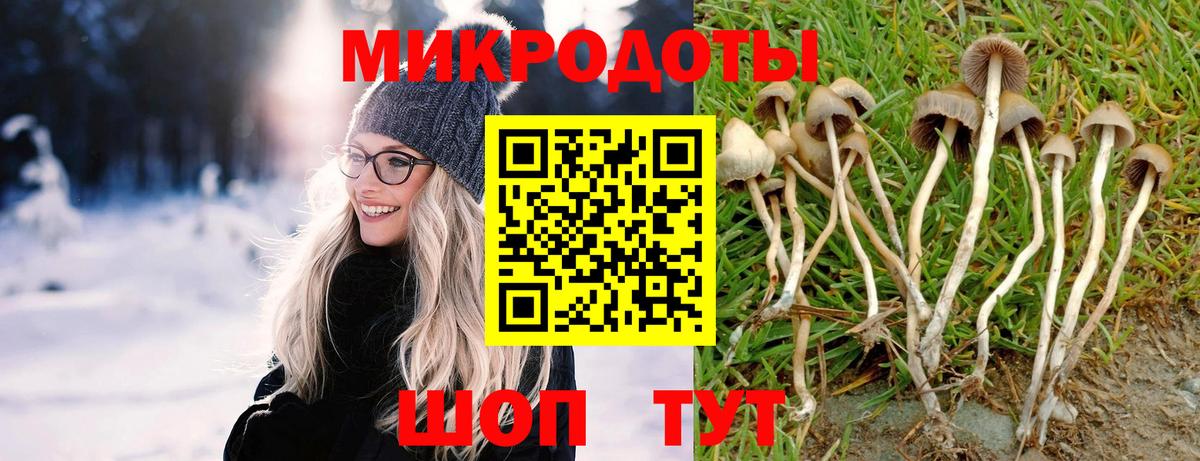 Псилоцибиновые грибы MAGIC MUSHROOMS Реж