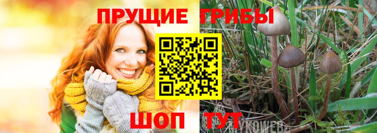 Реж  Галлюциногенные грибы прущие грибы  Вход с VPN 