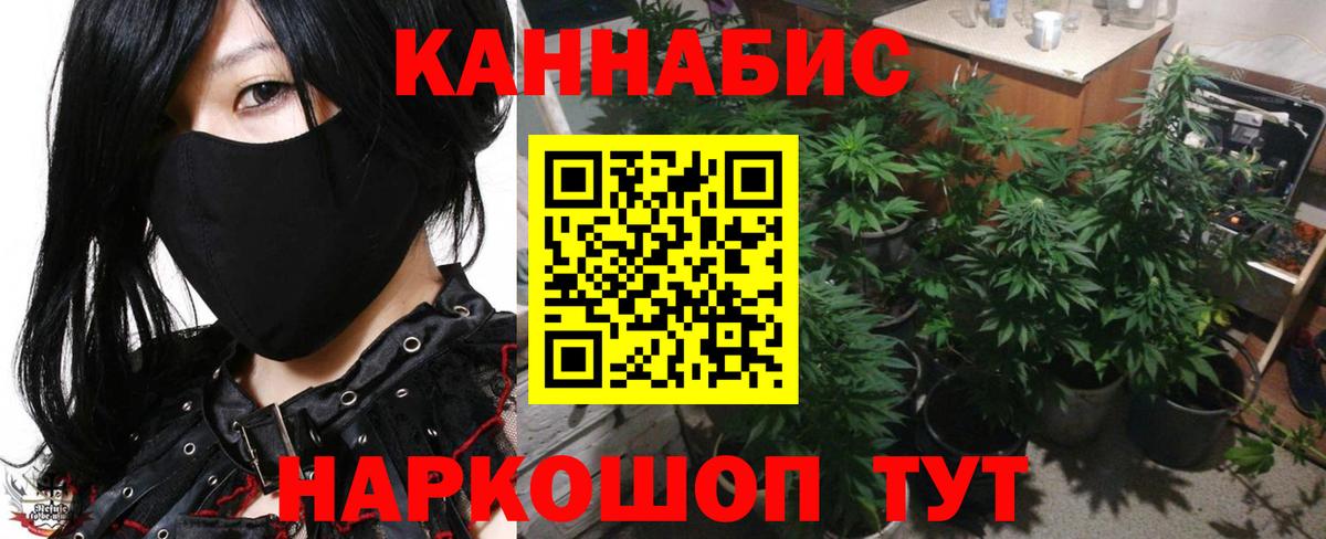 Марихуана White Widow  Конопля планчик  Реж  Вход с VPN  МАРИХУАНА индика 